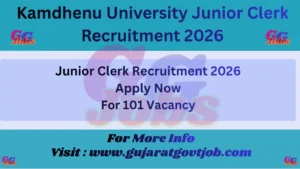 Kamdhenu University Junior Clerk