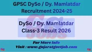 DySo Result 2026